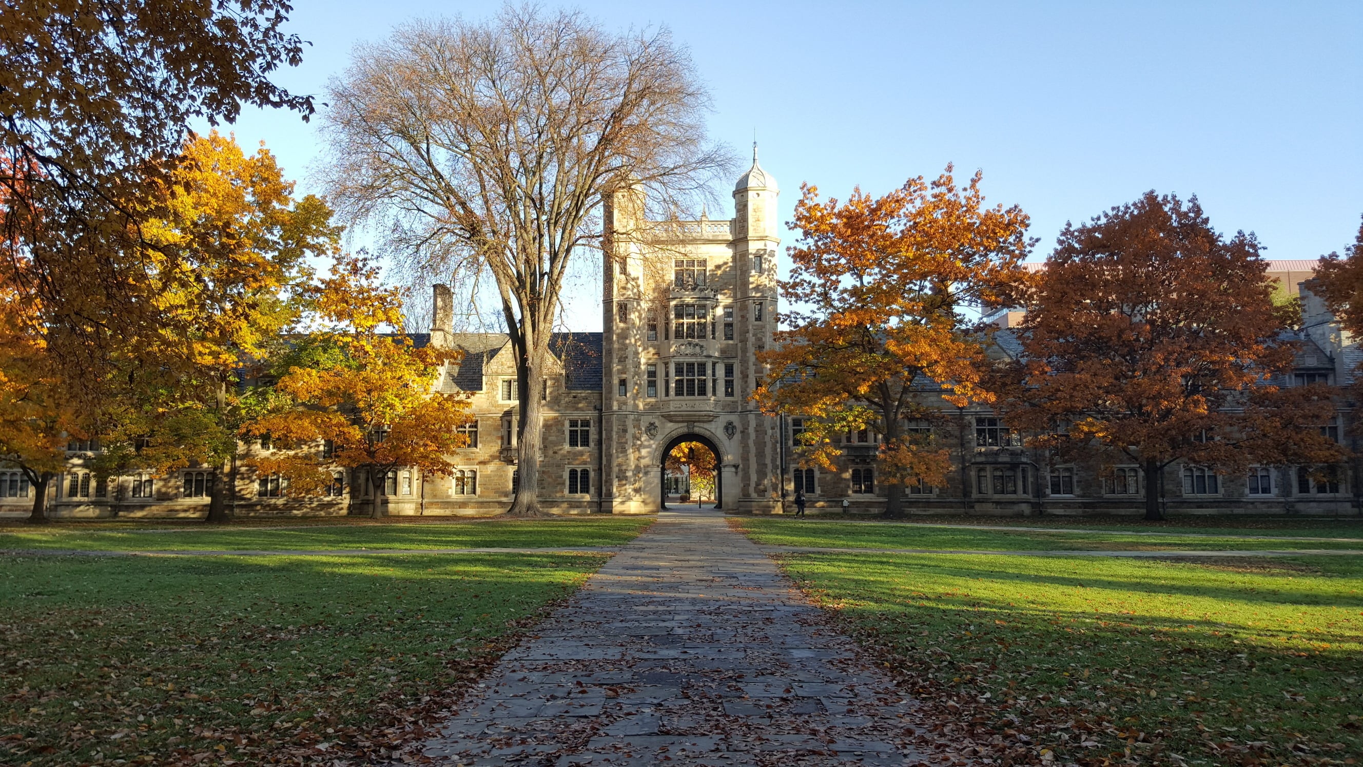 University higher education campus